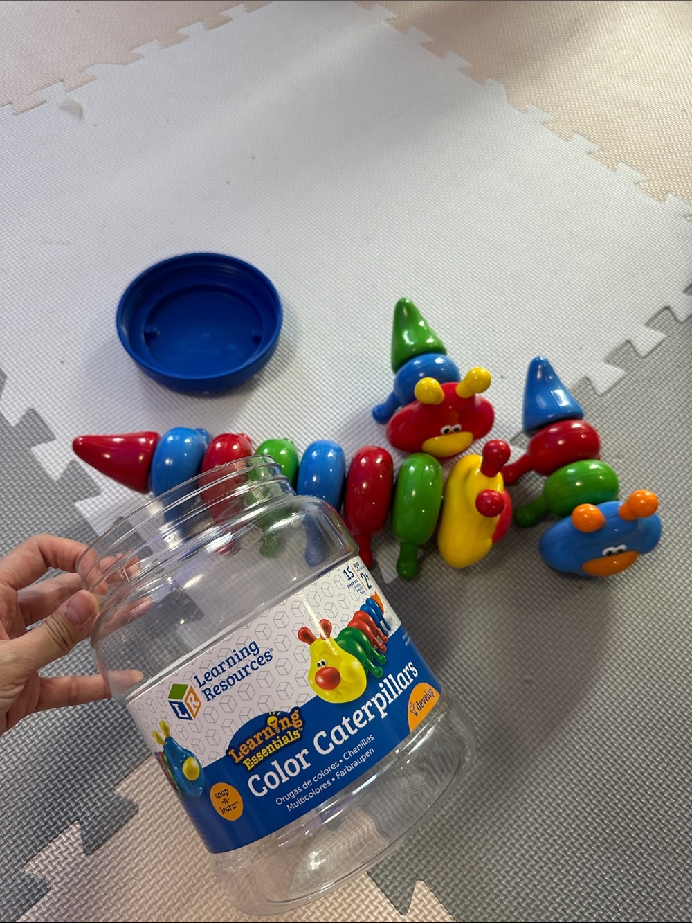 Color Caterpillars - Multicolor Kids Toy Set